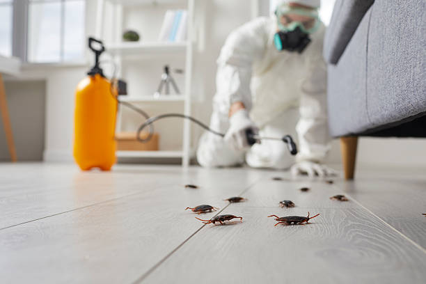 Commercial Kitchen Cockroach Control in Bel Air South